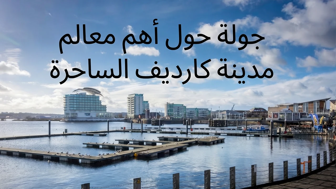 تمتع بجولة فريدة من نوعها حول أهم معالم مدينة كارديف العاصمة واكتشف وجهاتها التاريخية والسياحية في مزيج من العراقة والحداثة.